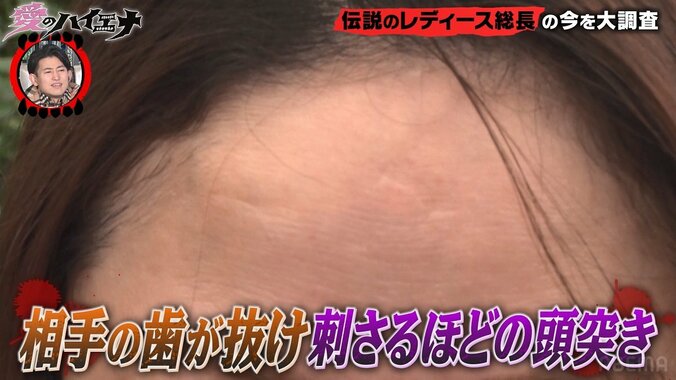 【写真・画像】坂口杏里さん、セクシー女優デビューのギャラは「数億」 ホスト遊びについても赤裸々告白「歌舞伎町は庭」　3枚目