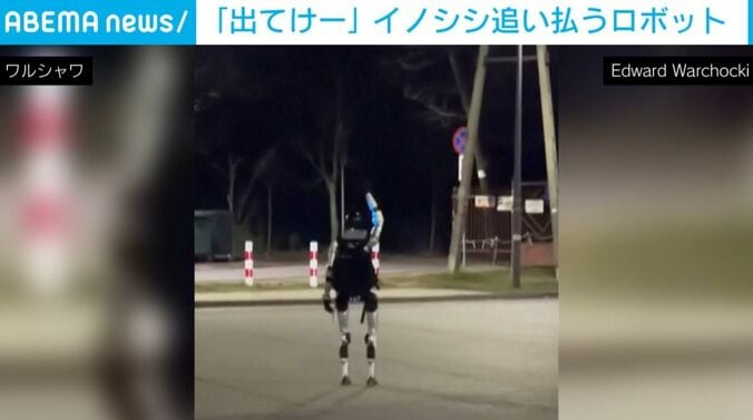 イノシシに手を振るロボット