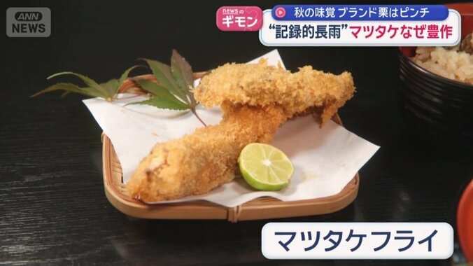 マツタケフライ