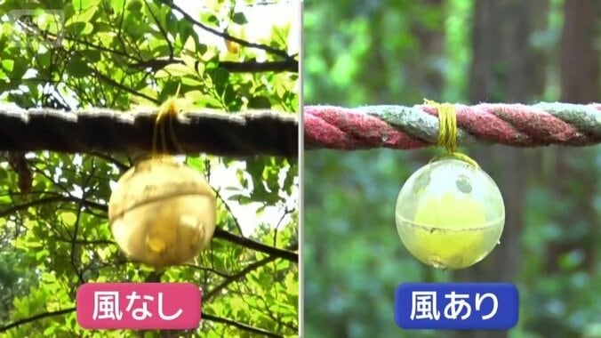 風が吹かないと鈴が鳴り、風が吹くと鈴は鳴らず