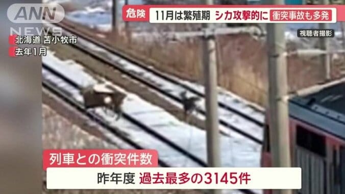 列車との衝突も…