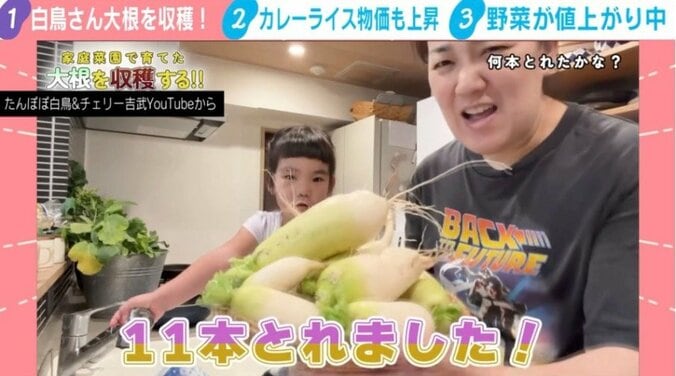 たんぽぽ白鳥&チェリー吉武YouTubeから