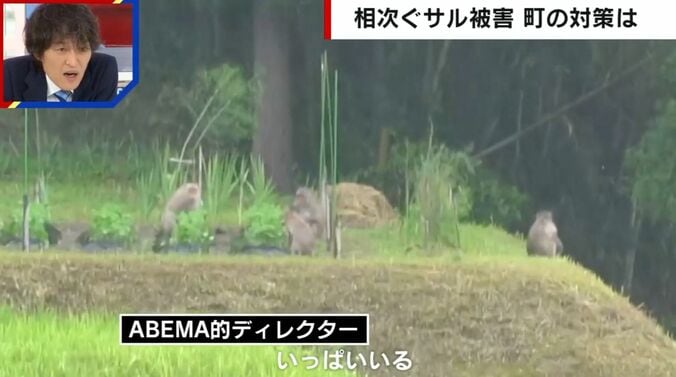 相次ぐサル被害 町の対策は