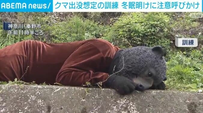 神奈川・秦野市