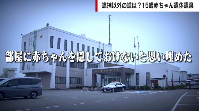 部屋に赤ちゃんを隠しておけないと思い埋めた