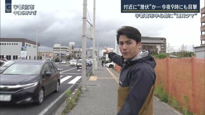 幹線道路