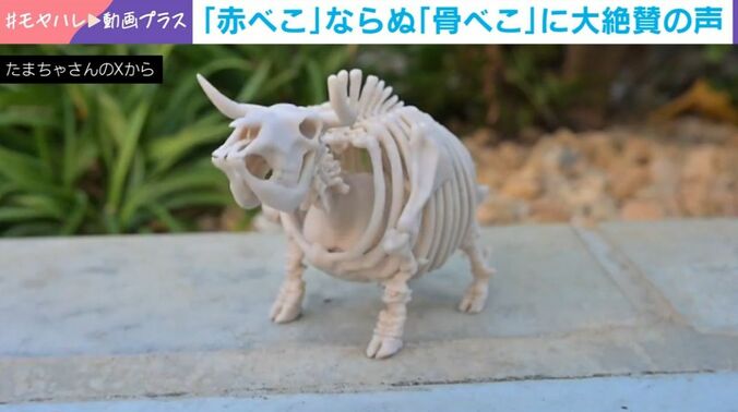 骨べこ