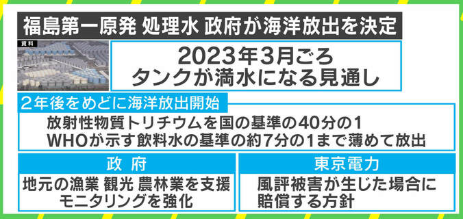 原発処理水、海洋放出で魚や貝類はどうなる？「海洋水以外も同時進行で調査を」 2枚目