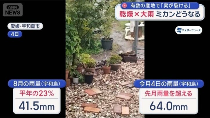 降水量