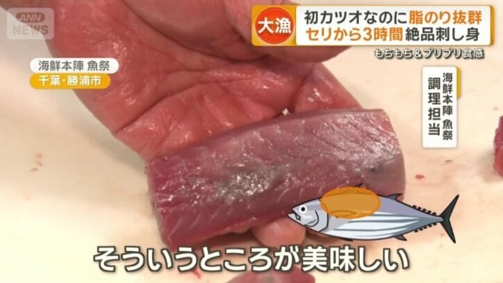 背の一番太いところ