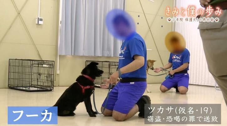 【写真・画像】「罪を犯した少年」と「捨て犬・野良犬」が共に歩む再出発、涙の別れ…少年院の保護犬訓練プログラムに密着　1枚目