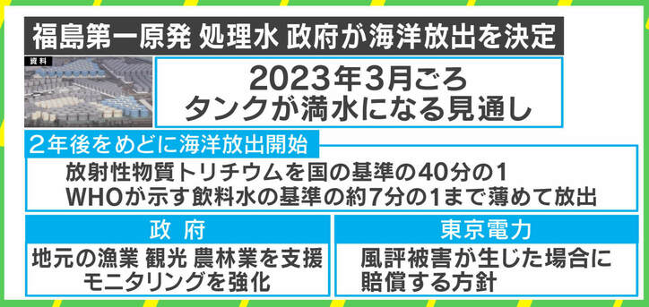 原発処理水、海洋放出で魚や貝類はどうなる？「海洋水以外も同時進行で調査を」