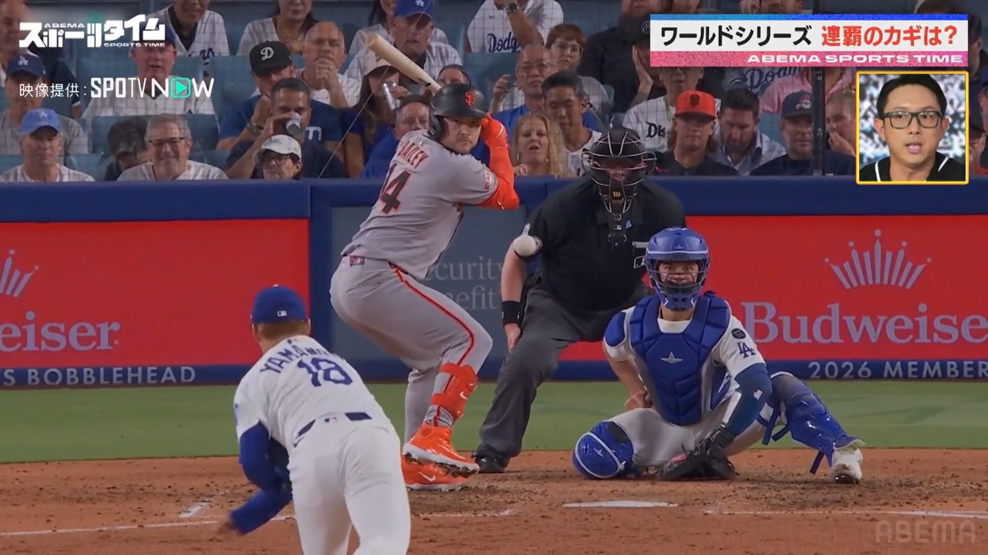 【写真・画像】　2枚目