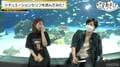 下野紘＆内田真礼が大赤面！夜の水族館で胸キュンセリフを披露『声優と夜あそび』