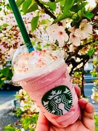 IZAM『映えましたね。』