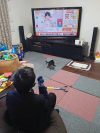 山田花子『さくら』