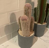 しょうくん『プチっと恥部』