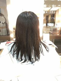 堀ちえみ『15センチ以上カット』