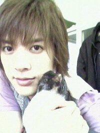 DAIGO『天才！志村どうぶつ園！』