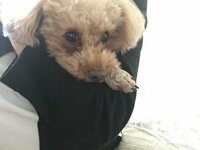 時東ぁみ『男装してみたい★』