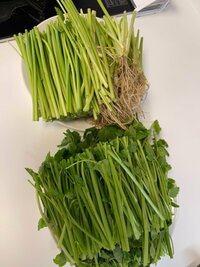 高橋真麻『せり鍋とともに』