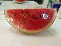 山田花子『またスイカ』