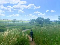 大和田美帆『2020/06/06』