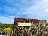 平野ノラ『薔3』