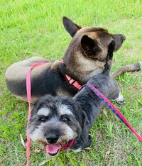 坂上忍『HAPPY　BIRTHDAY』