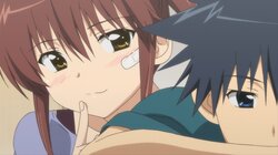 禁断のラブコメ『kiss×sis』6月29日(土)、30日(日)に全話無料一挙放送が決定