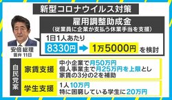 「場当たり的で混乱を極めている印象」 西田亮介氏が考える、個人と中小企業向けの経済支援策