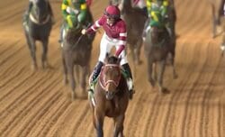 【サウジカップ】2連覇狙う“圧倒的人気”フォーエバーヤングに死角はあるのか？ 福永祐一氏が注目するポイント「どの程度の仕上げで…」