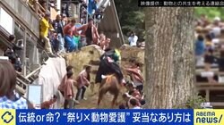 祭りに「時代に合わない」「動物虐待」の批判 伝統継承のためアップデートは必要？