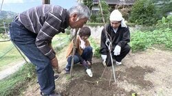 「自信は200％」畑に眠る3メートルの“お化け自然薯”を掘り出せ！孫の雛人形代を稼ぎたい祖父の野望…まさかの結末に一同呆然