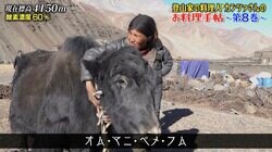 動物の命をいただくということ…ヒマラヤの尊い生き物「ヤク」解体シーンに「普段食べている食材も日常的にこうなってるって事よね… 感謝しないと」