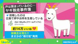戸は閉まっているのにヤギ脱走 “クセ強”な抜け出し方に「まさに“隙あらば”」「大胆不敵」と話題