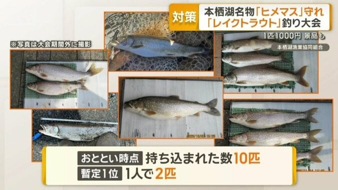 優勝のチャンスは十分