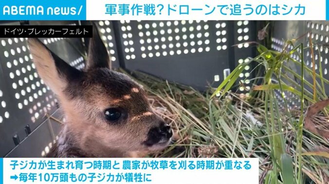 ドイツ