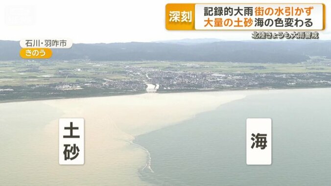 土砂が流れ込みくっきりと色が分かれた海