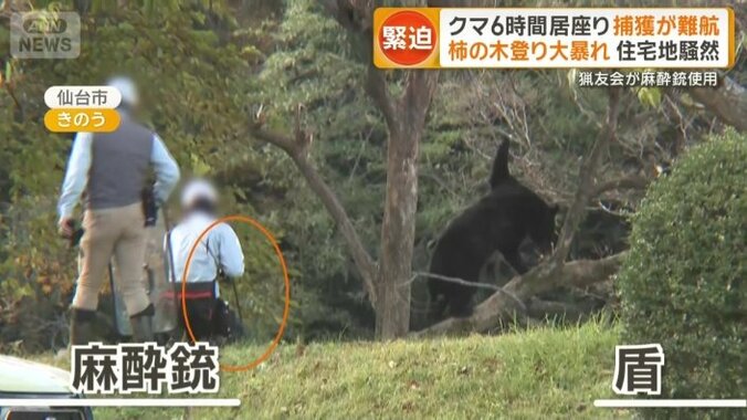 1人が盾をもう1人が麻酔銃を手にしている