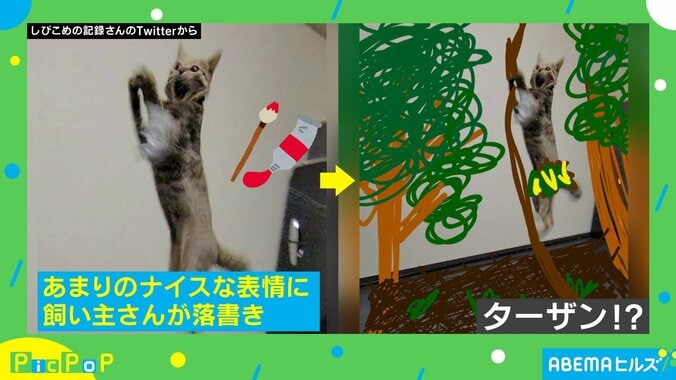 遊んでいるときの表情が面白すぎるネコが話題 飼い主「無理…笑う…ｗ」 2枚目