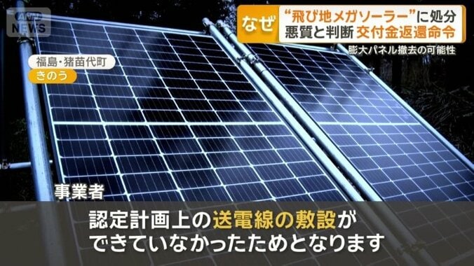 認定を取り消された理由について