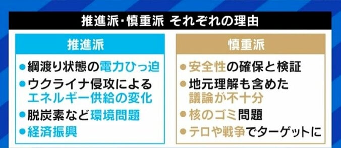 政府、次世代革新炉の開発・建設の検討へ…立憲民主党・吉田議員「再稼働も新増設するべきではないと思う」「再生可能エネルギーしかない」 5枚目