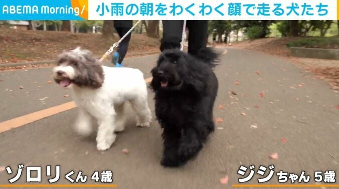 ゾロリくんとジジちゃん