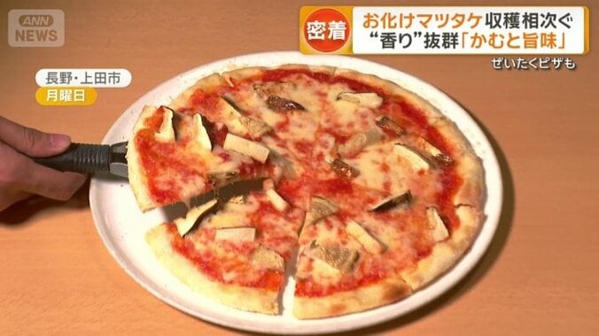 名人のおすすめ