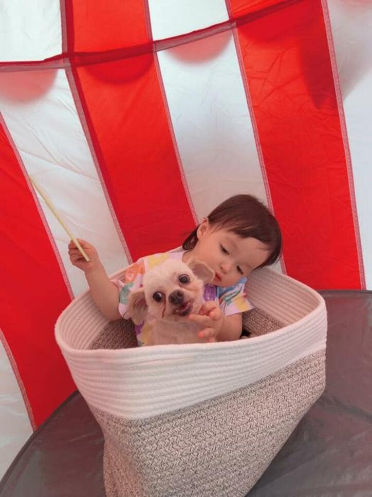  川崎希、犬と寄り添う娘の姿に「可愛すぎる～」 