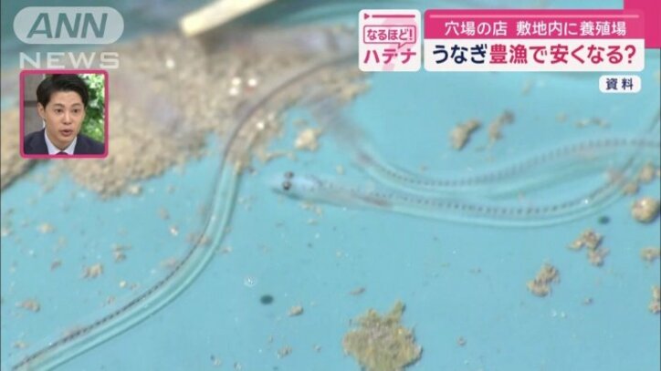 白いダイヤ