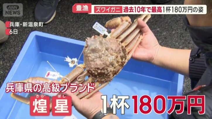 1杯180万円の高値