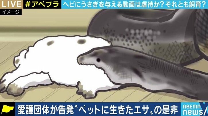 “生きたエサ食べさせる動画” 一体どこまで制限すべき? YouTuberを刑事告発した動物愛護団体代表と議論