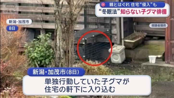 住宅の軒下に入り込む事態も